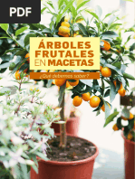 Guía Arboles Frutales en Macetas