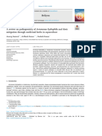 A Review On Pathogenicity of Aeromonas Hydrophila and Their Mitigation Through Medicinal Herbs in Aquaculture (Review, 2023)