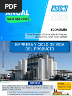 Empresa y Ciclo de Vida Del Producto