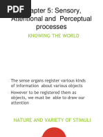 Chapter 5 - Sensory, Attentional and Perceptual Processes