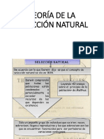 TEORIA DE LA SELECCION NATURAL Darwin