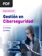 Brochure Gestión en Ciberseguridad