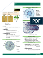 BOTANY - W5 - Root Morphology