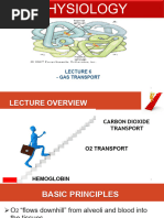 Lecture 6 Gas Transport