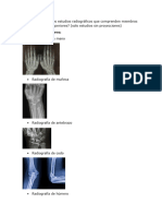 Tarea 2 Anatomia