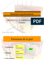 Sistema Tegumentario 2