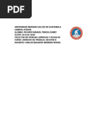 TAREA SOBRE LA AUTORIDAD Y FUNCIONES DEL DERECHO LABORAL de Ricardo Manuel