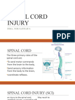 Spinal Cord Injury