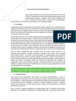 As Fases Do Processo Psicoterapêutico