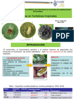 Modulo III. Mip