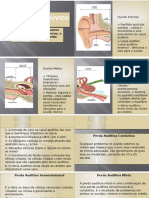 Anatomia Do Ouvido