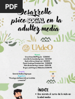 Desarrollo Psicosocial en La Adultez Media