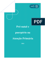 24 - Pré-Natal e Puerpério Na Atenção Primária - 01 de Abril de 2024