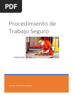 Procedimiento de Trabajo Seguro Ruidos