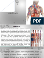 Materia de Anatomia Del Primer Quimestre