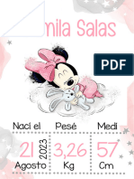 Pediátrico New Minnie 2023 Minsal