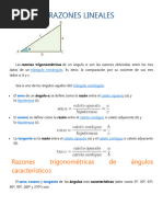 RAZONES Lineales