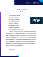 Protocolo Colaborativo de MEAD - Docx-1