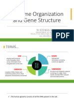 Genome Organization