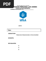 Guía para La Elaboración Del Informe Etnográfico