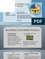 Determinacion de Coliformes DIAPOS-1