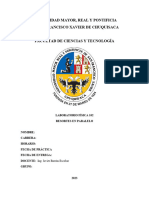 Labfis-102 Informe 3