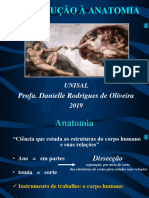 Aula 1 - Introdução A Anatomia - 2019