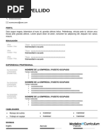 Curriculum Vitae Sencillo