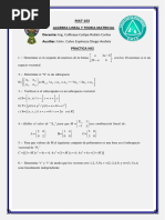 Practica 2P - Mat103