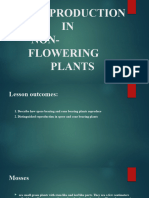 Reproduction in Non Flowering Plants