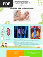 EXPOSICION Pediatría Semiología Renal