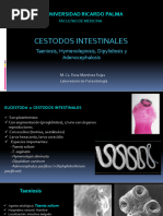 Clase 04 - Céstodos Intestinales