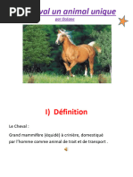 Un Cheval Un Animal Unique Par Océane