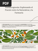 Farmacognocia, Explorando-El-Puente-Entre-La-Naturaleza-Y-La-Farmacia