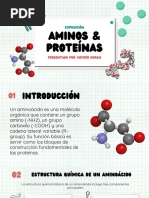 Aminoácidos y Proteínas