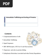 Intracellular Trafficking and Sorting