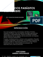 Tema 34. Protozoos Parásitos Del Hombre