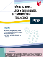 Acción de La Lipasa y Sales Biliares