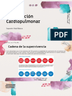 Reanimación Cardiopulmonar Soporte Vital