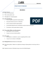 Icse STD.X Biology Worksheet SCH All CH 6 Photosynthesis Deepali Miss Sarika 27-02-2023