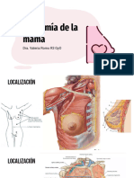 Anatomía Mama y Axila