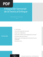 Clase 5 Modelo de Integracion Sensorial 083056