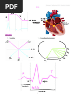 1 Ecg