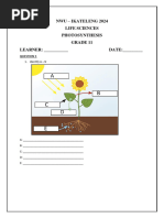 Life Sciences GR 11 (Photosynthesis)