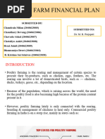 Poultry Farm Financial Plan 2