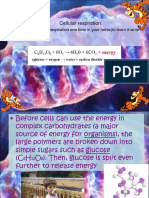 Cellular Respiration:: Write The Equation For Respiration One Time in Your Notes (To Learn It-Write 10x)