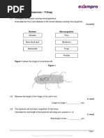 Joy Benemor - Infection and Response Exam Qs