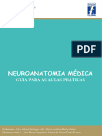 Guia Neuro