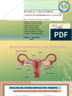 Ciclo Menstrual