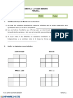 Leyes de Mendel - Taller